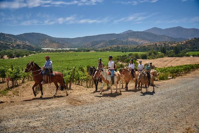 Horseback riding wine valley